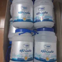 دبه ماست نو