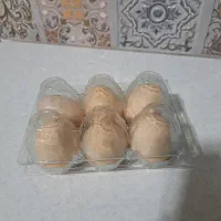 شانه تلقی ۶تایی تخم مرغ