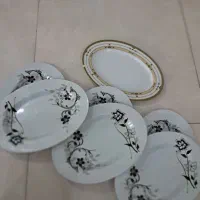 ۶ عدد دیس ملامین کوچک