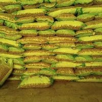 پخش عمده گردو پوست کاغذی سوپر امسالی