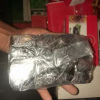فروش ۶۰عدد کارتن خرما ۸۰۰گرمی