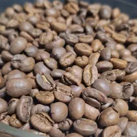 فروش قهوه قیمت مناسب