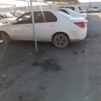 دنا معمولی تیپ ۲