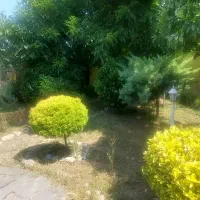 ویلایی فول بازسازی شهرک بنفشه