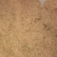 فروش کاه سفید خرمنکوبی