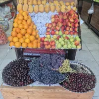 کارگر ماهر میوه فروشی