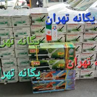 پنکه سقفی WORLD CUP2026