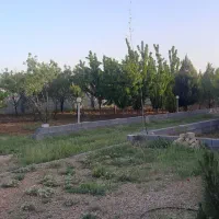باغ|فروش زمین و ملک کلنگی|همایجان, |دیوار