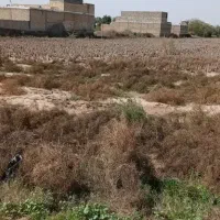 فروش زمین مسکونی در حمیدیه