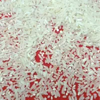 لاشه و درسته برنج فجر