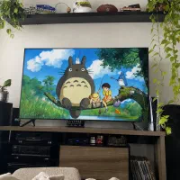 LED 50 inch فریم لس باریک کیفیت‌بالا mh512n