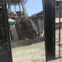 آینه قدی مدل هلالی ساده (فقط عمده / بدون آینه)