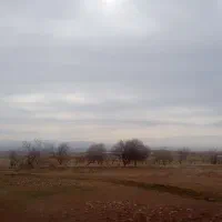 جذب سرمایه و شریک