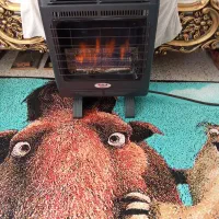 بخاری بدون دودکش