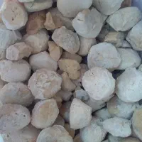 کشک محلی