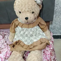 خرس بزرگ (شاخصین)