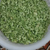 باقله وبقیه