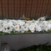 گل متری دور سنگ قبر ریسه ای