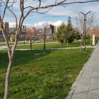 250متر زمین تجاری در شهرک سپاه