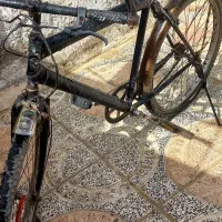 دوچرخه|دوچرخه، اسکیت، اسکوتر|فلاورجان, |دیوار