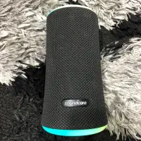 Speaker