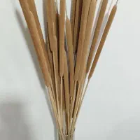 گل گلدون|گل مصنوعی|مشهد, فاطمیه|دیوار