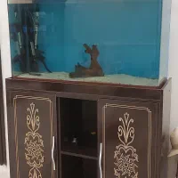 آکواریوم کارکرده