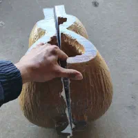 چوب تار کپی شده خشک و آماده به کار