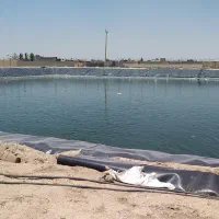 اجاره استخر پرورش ماهی