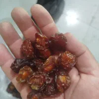 آلوچه خورشتی و گوشتی خوشمزه