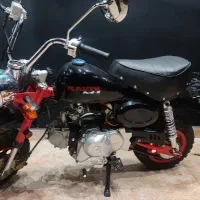 مینی کویر m1