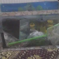 آکواریوم باهمه وسایل نو