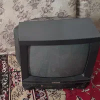تلویزیون