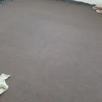 موکت|موکت|خرمشهر, |دیوار