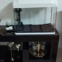اکواریوم دلسا