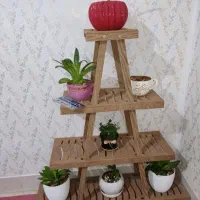 استند گل|گل و گیاه طبیعی|خزل, |دیوار