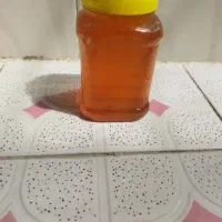 عسل حلبی (جمله ای ) ۶۲۰