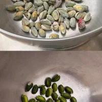خرید پسته کال و تر