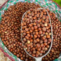 فندق|خوردنی و آشامیدنی|رودسر, |دیوار