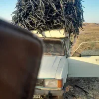 خرید نوار تیپ