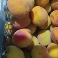 هلوی زعفرانی