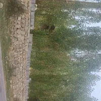 زمین باغ شهری کوهمره سرخی