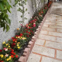 خدمات باغبانی وتعویض خاک گل های آپارتمانی درمنزل