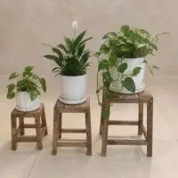 استند گل