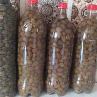 زیتون تمیز و ارگانیک