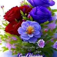 فروش خط 09125111386