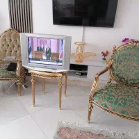 تلوزیون 25 اینچ سونی