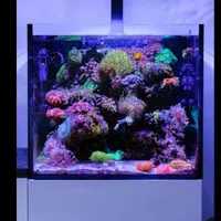 فروش اکواریوم اقساط ۶ ماهه ریملس ۶۰ ۵۰ ۵۰