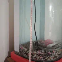 اکواریوم نیم دایره بزرگ