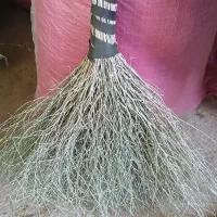 جارو دستی
